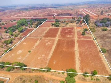 Farm & Agricultural Land