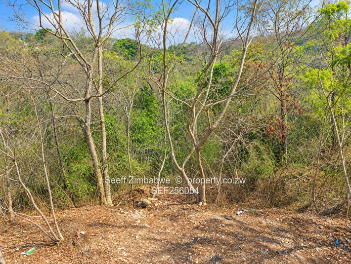 Prime Residential Stand For Sale On Sugarloaf Hill (Sole Mandate)