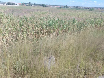 Commercial & Industrial Land