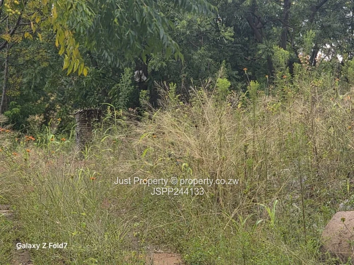 Manresa 2,169 m² Stand on Tarred Road – Sloping, Treed (Sole Mandate)