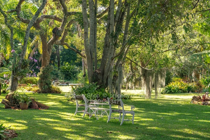 Hidden Gem in Chisipite