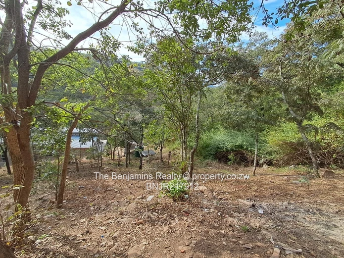 Scenic views in Glen Lorne