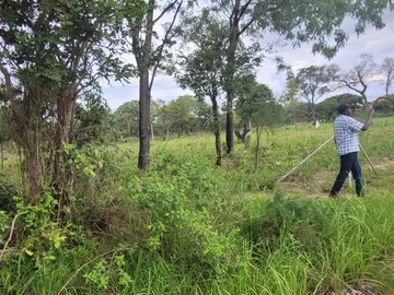 Farm & Agricultural Land