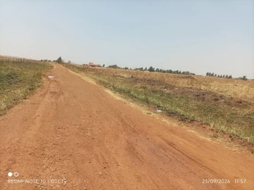 Farm & Agricultural Land
