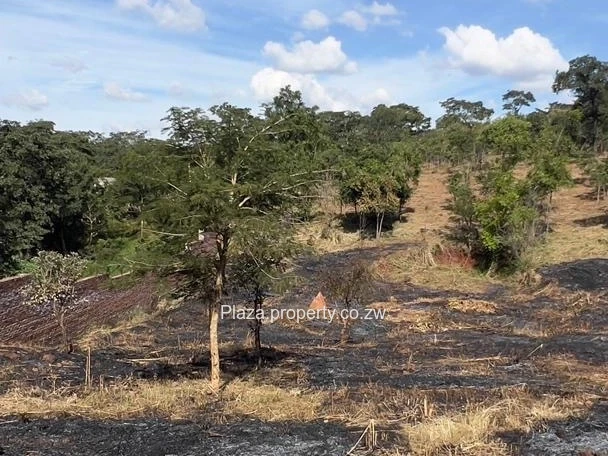 Where Vision Meets Land