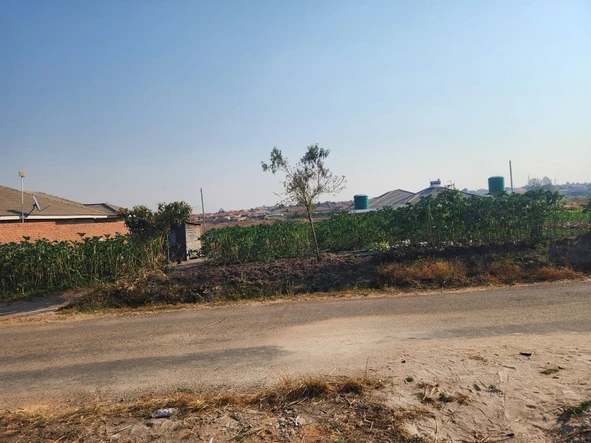 Stands & Residential Land