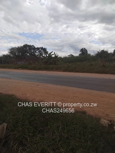 Prime Commercial Stand For Sale