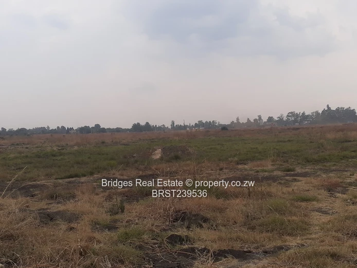 Meet the future,today! The richest sq mile in Harare.