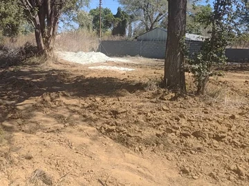 Stands & Residential Land