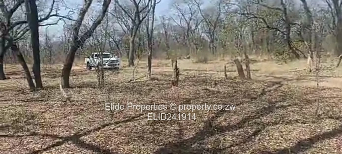 1,130ha Gokwe Farm — Gravel Roads, Grazing & Kraal (Sole Mandate)