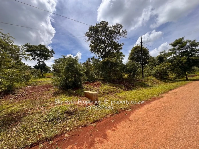 Shawasha Hills Estate Stands For Sale