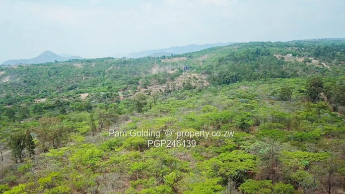 Stands In Nyanga At Nyamazi River For Sale