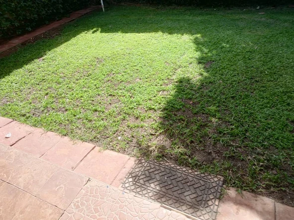 3 Bedroom Garden Flat