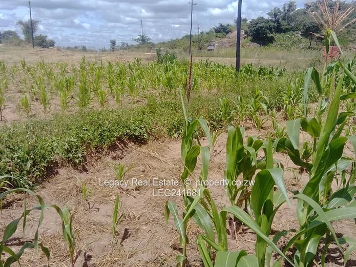 Hatfield Residential Stand for Sale | 480sqm | Parent Deed