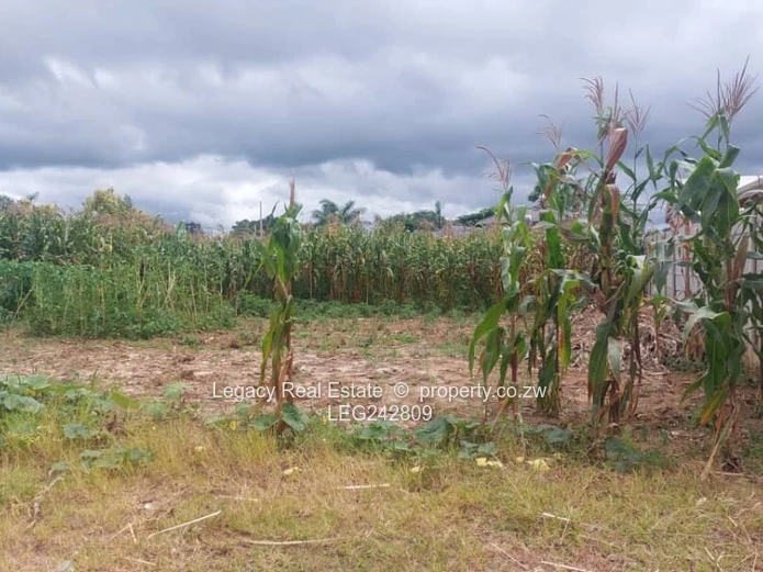 Exclusive Listing: Haydon Park Stand with Well & ZESA On Site