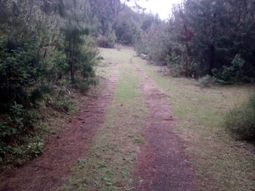 Farm & Agricultural Land