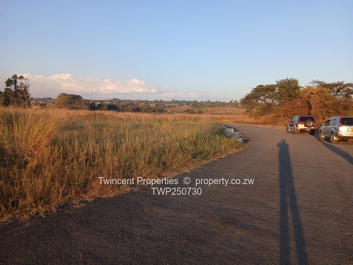 Athelney Park Estate, Ruwa (Sole Mandate)