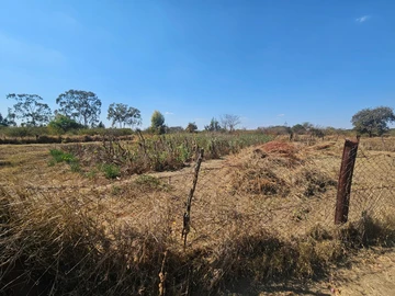Farm & Agricultural Land