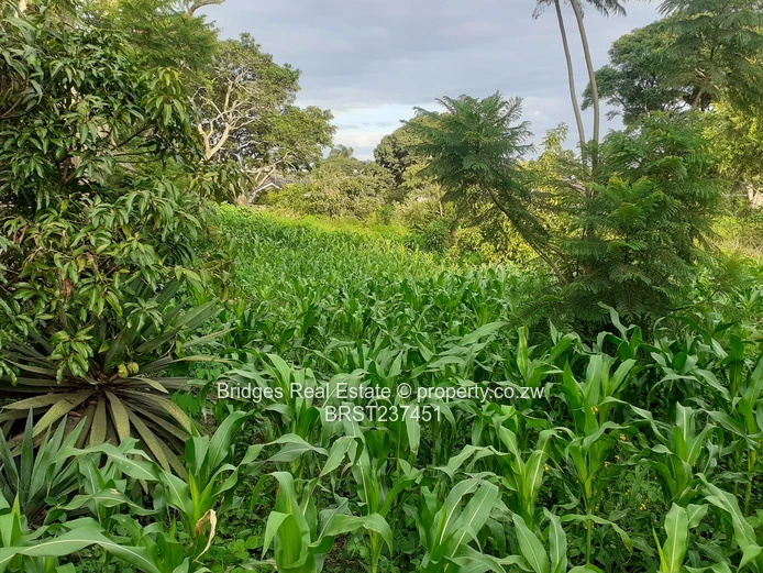 Property Development 101! The stuff of dreams!