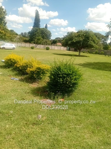 Hatifield-St Andrews Road Near Airport Round About