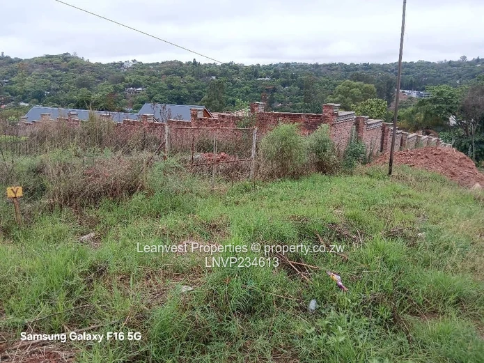 Stand For Sale In Borrowdale Helensvale 