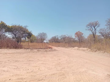 Farm & Agricultural Land