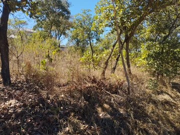 Land