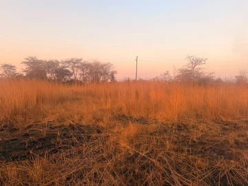 Land