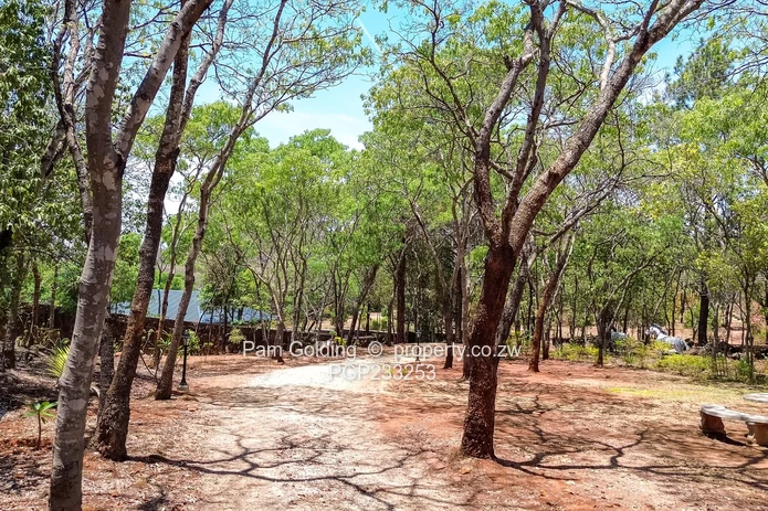 Architectural Elegance Christon Bank