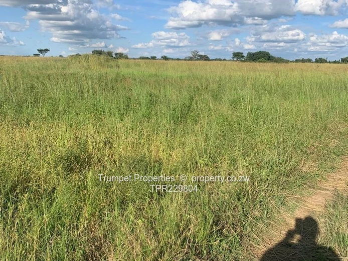 Plot For Sale (Sole Mandate)