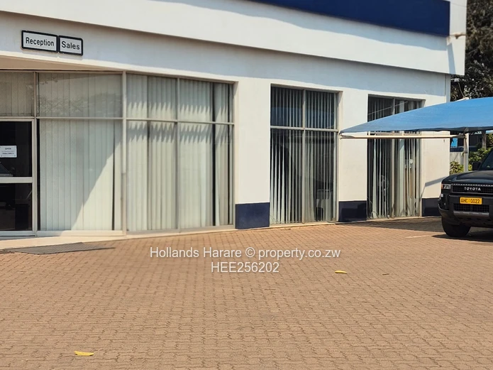 Massive Property In Willowvale