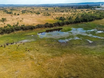 Farm & Agricultural Land