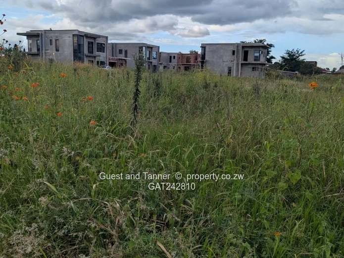 Stands for sale in Cold Comfort Pleasant Valley Gated Community