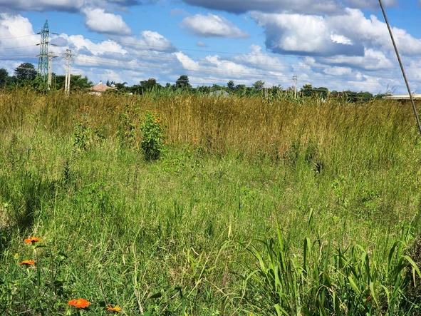 Commercial & Industrial Land