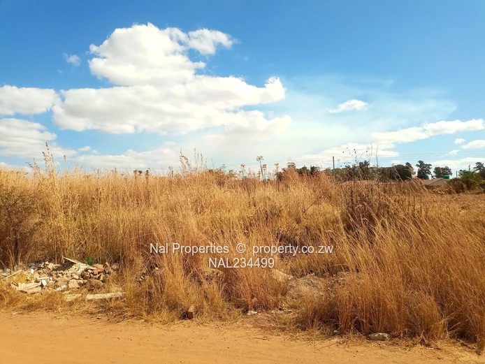 Stands for sale (Sole Mandate)