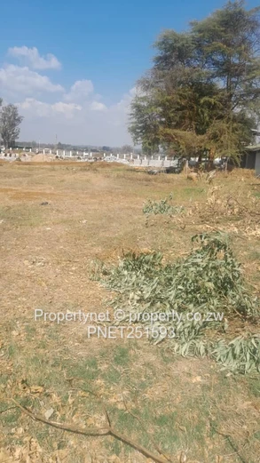 Ready To Built Next To Nyeredzi Tall Trees