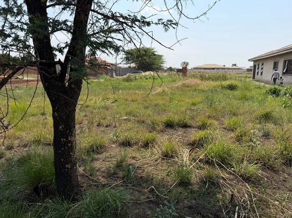 Stands & Residential Land