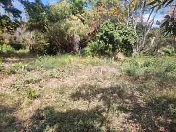 Commercial & Industrial Land