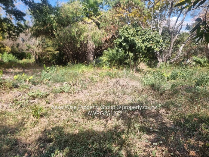 2100m² Tree-lined Commercial Plot in Avondale — Services