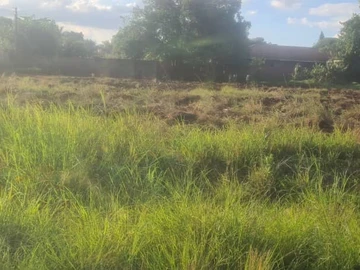 Stands & Residential Land