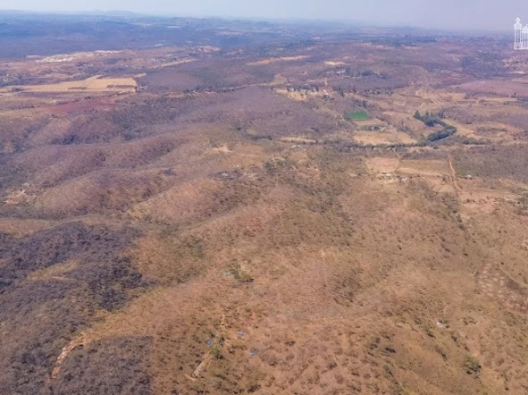 Farm & Agricultural Land