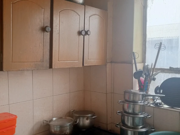 Flat & Apartment