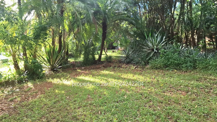 Greystone Park $185K