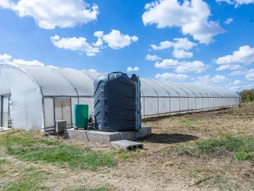 Farm & Agricultural Land