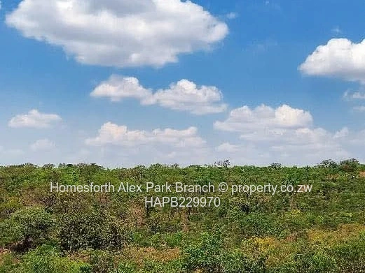 Vacant stand in a sought after area....