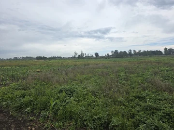 Commercial & Industrial Land