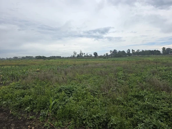 Commercial & Industrial Land