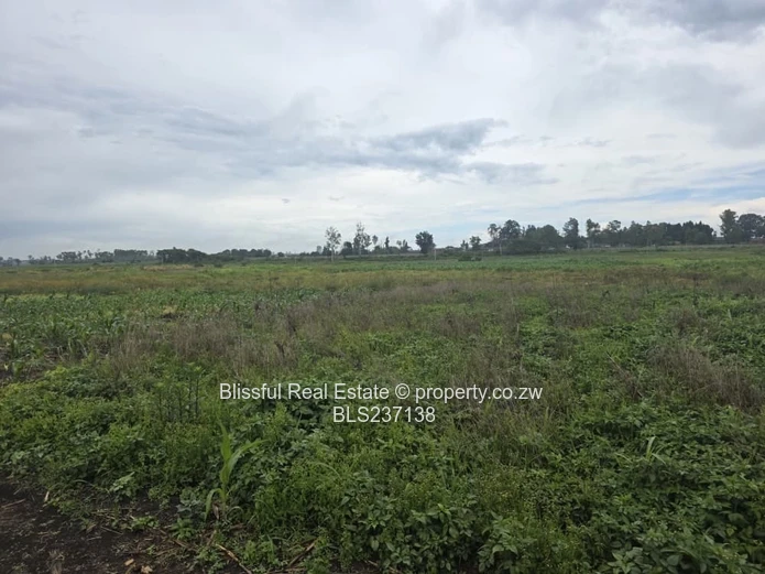 Pomona Township Stand for Sale