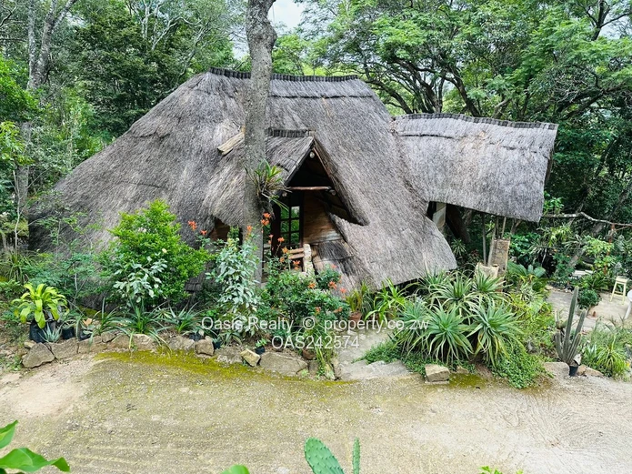 Prime 4,000m² Stand on Yellow Wood Lane, Kambanji  with Valley Views & Indigenous Trees (Sole Mandate)