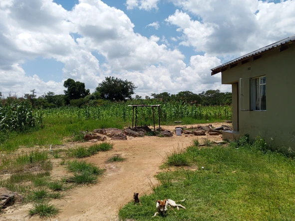 Farm & Agricultural Land